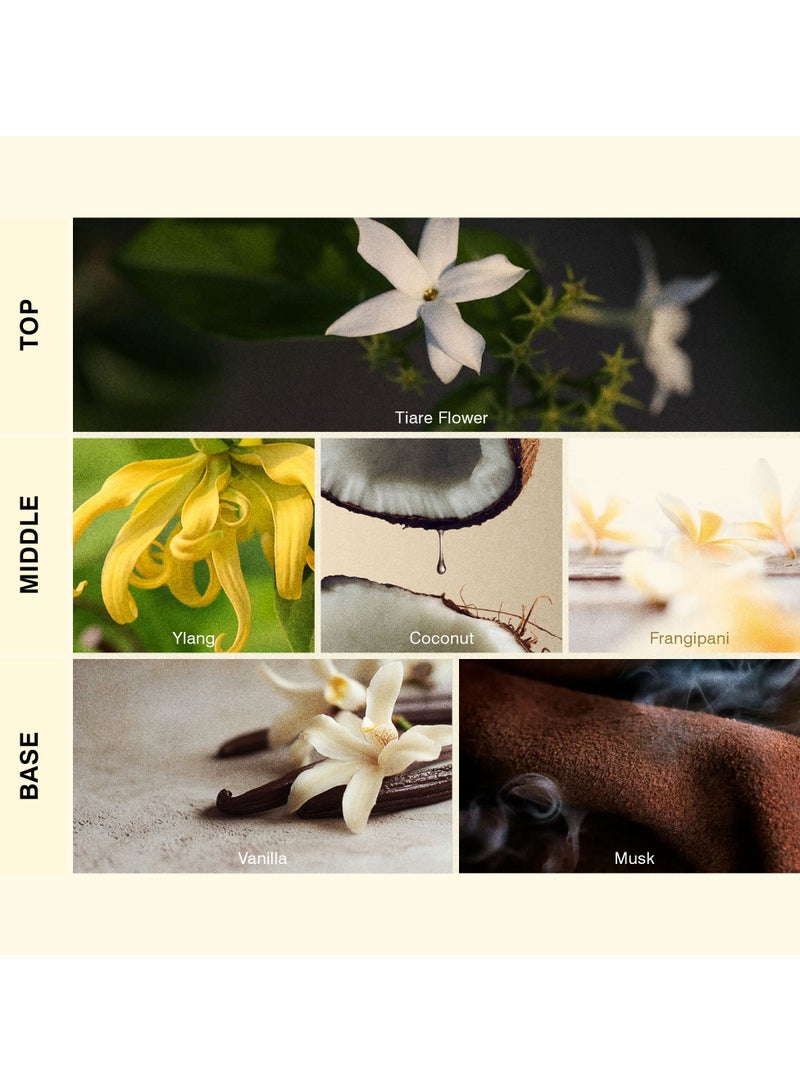 ISCENT | Island Euphoria – Fragrance Oil Refill for Ensō Mini Diffuser 10ml | Tiare Flower, Coconut & Vanilla for Home & Car | Tropical Escape with Creamy Florals & Sunlit Sweetness - Image 2