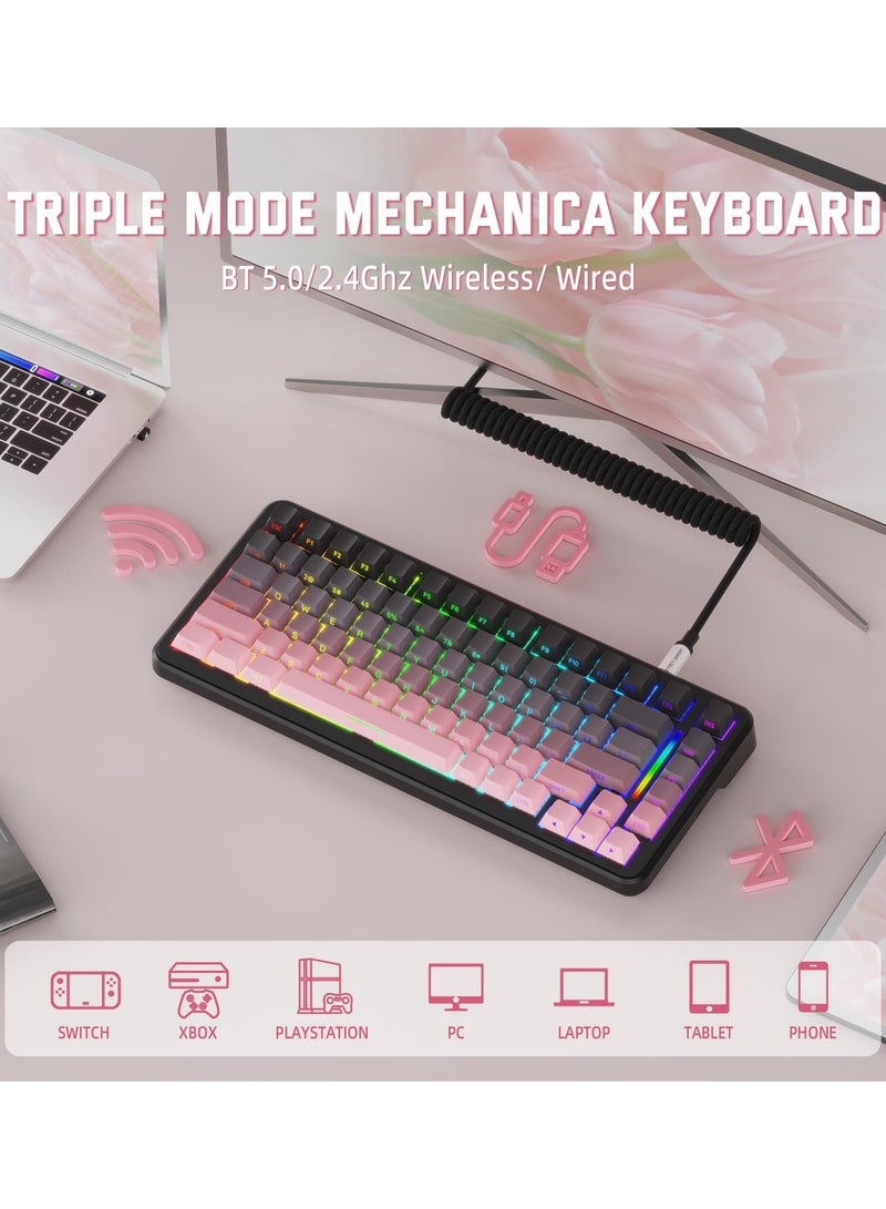 Attack Shark M86 83 Keys Wireless Mechanical Keyboard, 75% Gasket Hot Swappable Custom Keyboard, Side Printed PBT Keycaps, RGB Backlit, Pre-lubed Switches, BT/2.4GHz/ Wired Mechanical Gaming Keyboard - Image 3