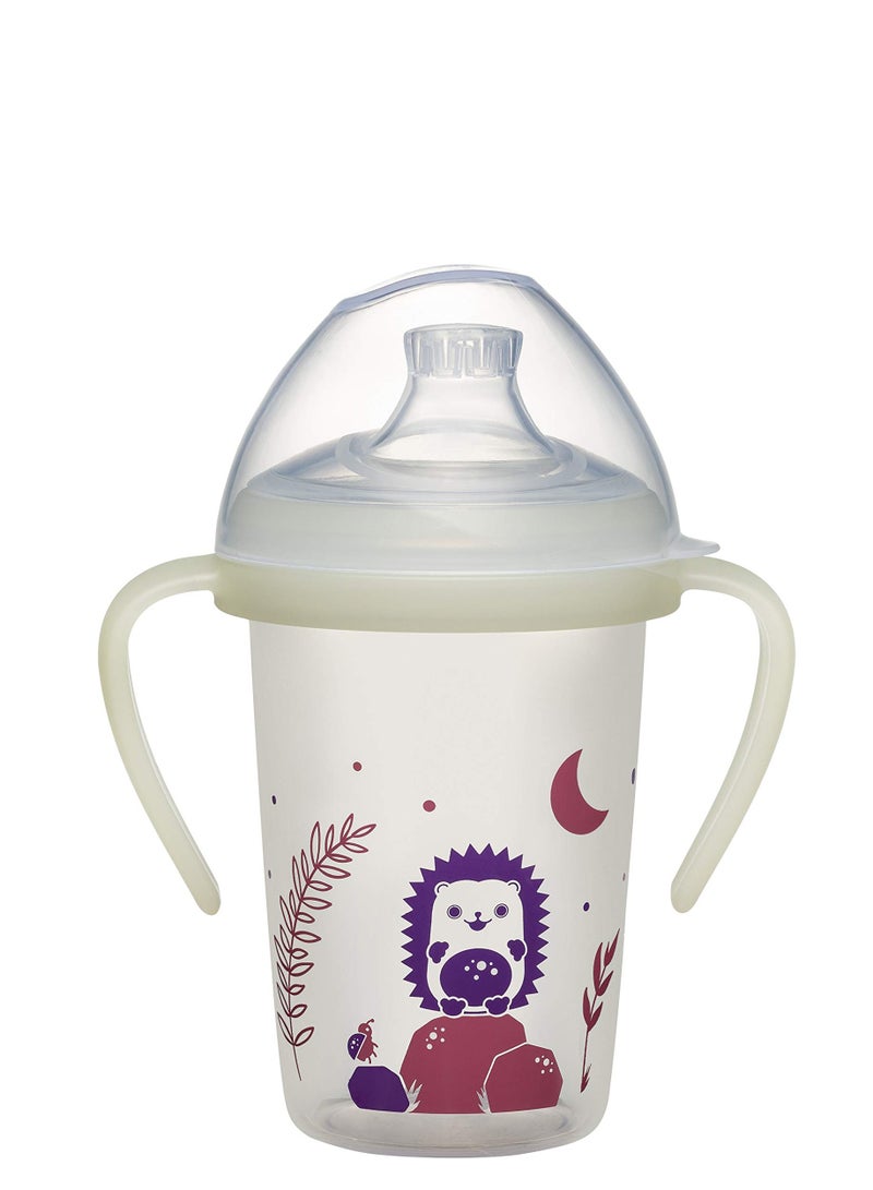nip Day & Night Drinking Bottle: Leak-proof Drinking Cup with Handle & Soft Spout, Glow in the Dark, from 6 Months, 270 ml, BPA-Free, Hedgehog