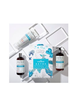 CURLSMITH Curlsmith - Detox Kit - Vegan Microbiome Scalp System for Any Hair Type (2 x 12 fl oz, 1 x 8 fl oz)  - Image 2