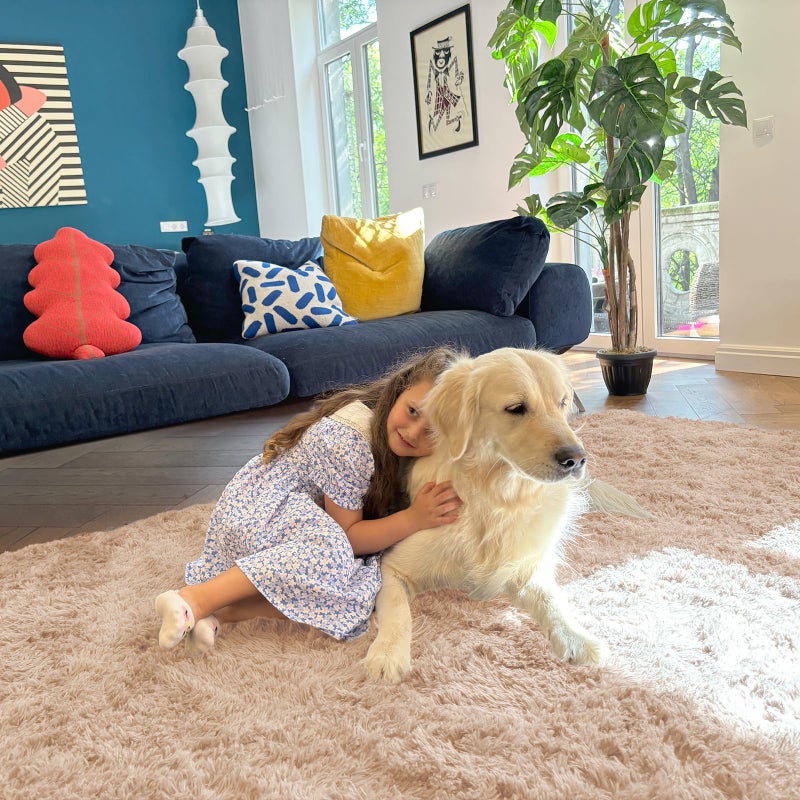 OLANLY 5x7 Machine Washable Large Area Rugs for Living Room, Bedroom, Soft Fluffy Shaggy Bedside Rug, Indoor Floor Carpet for Kids Girls and Boys, Dorms, Nursery, Home Decor Aesthetic, Beige - Image 5