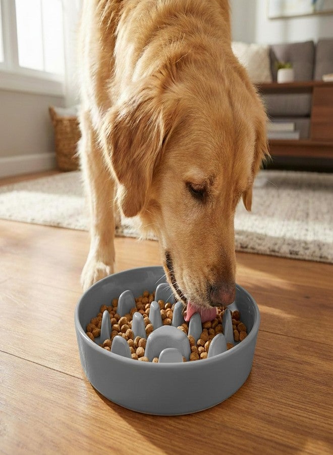 ONTUBE Ceramic 1.5 Cup Slow Feeder Dog Bowl, Slow Feeding Dish for Small & Medium Breeds to Slow Down Eating, Anti-Gulping, Preventing Choking (Grey) - Image 3