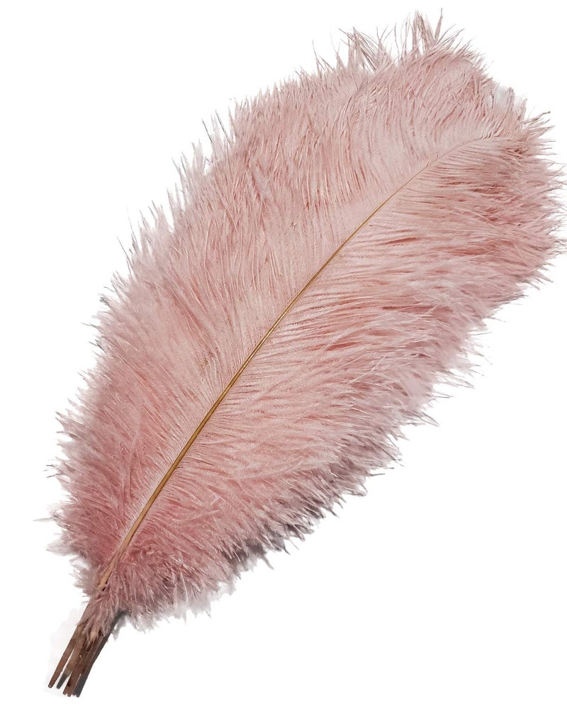 Happy Feather 1618 inch Pink Ostrich Feathers Cratfs for Wedding Party Centerpieces Home Decoration DIY Craft Pack of 10