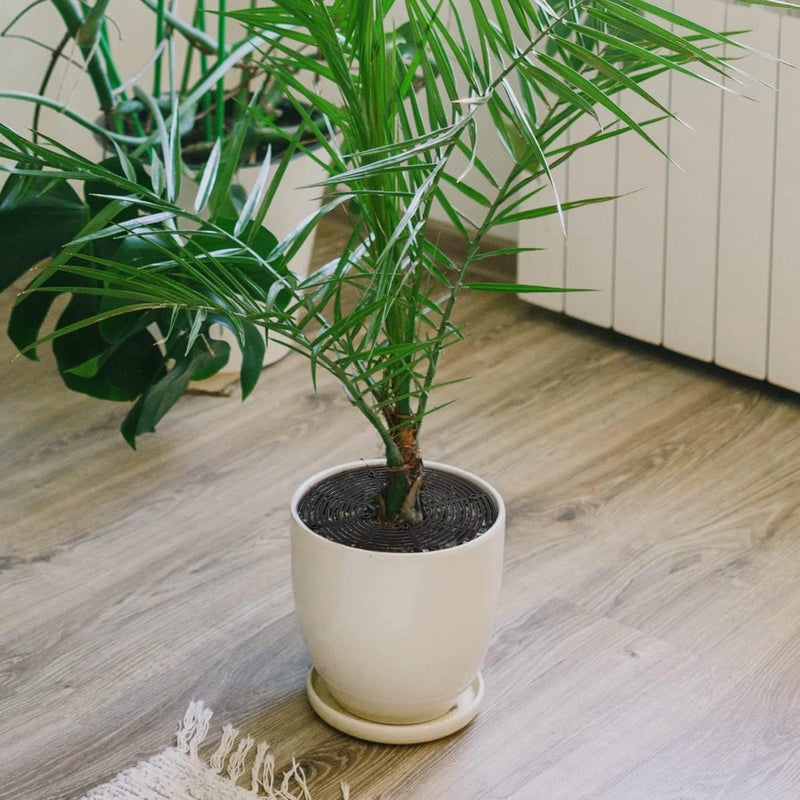 SAHENITEANA Plastic Grid Plant Pot Protector - Indoor Flower Pot Cover With 16 Stakes - Cuttable Soil Cover (Medium) - Image 5
