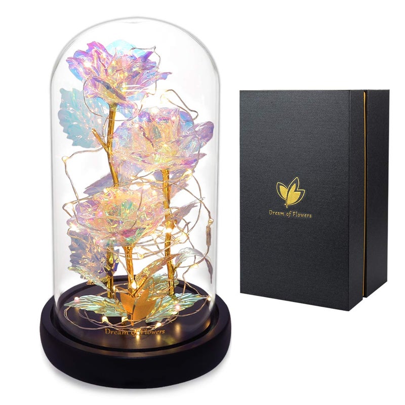 Dream of Flowers Valentines Gifts for HerBirthday Gifts for WomenColorful Flowers Rose in Glass DomeGalaxy Flowers Rose with 2 Lighted ModeRainbow Rose Flower Gifts for WomenValentines Gifts for Girlfriend 