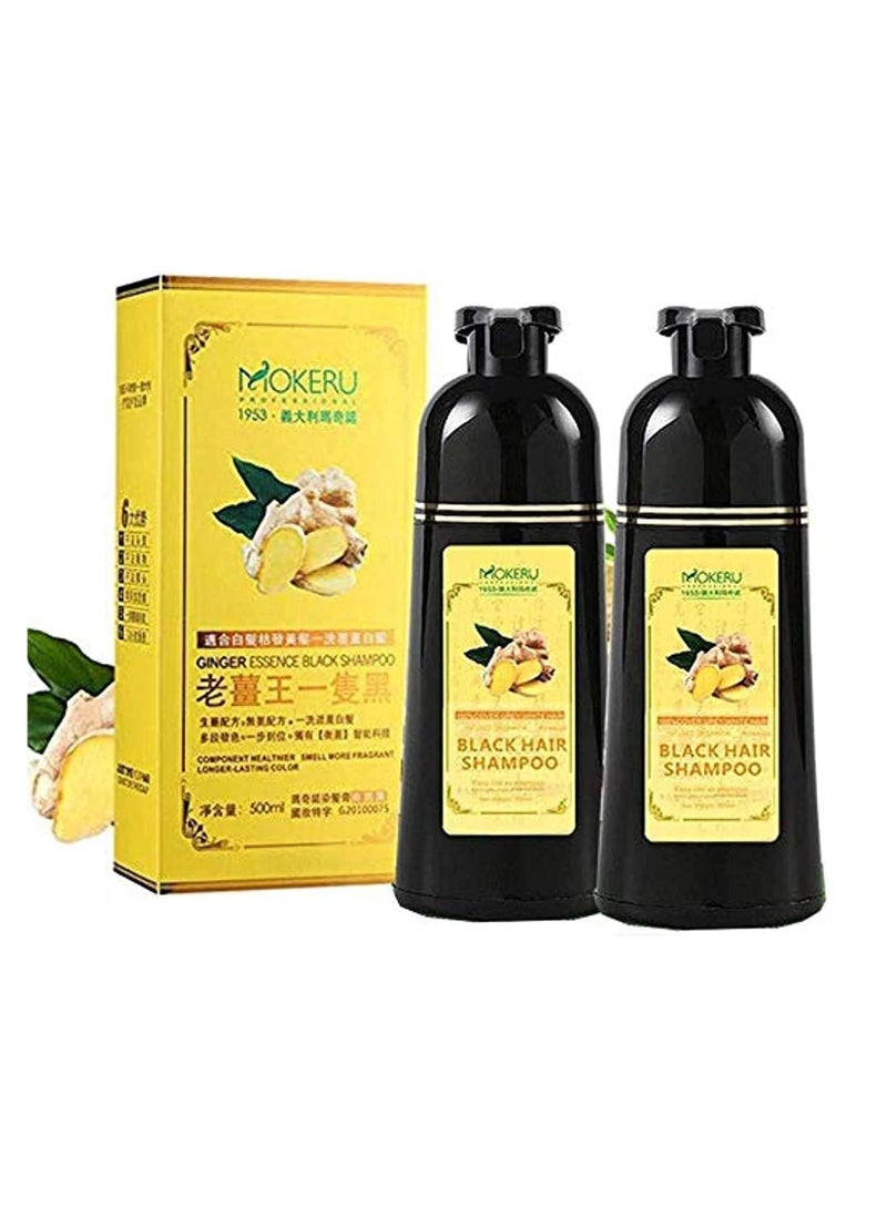 موكيرو شامبو الشعر الأسود موكيرو 500 مل للشعر الأسود الكثيف قطعتين - Image 1
