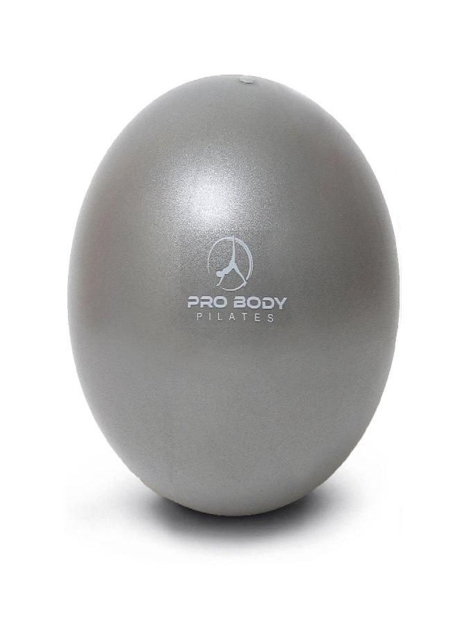ProBody Pilates - ProBody Pilates Ball Small Exercise Ball, 9 Inch Bender Ball, Mini Soft Yoga Ball, Workout Ball for Stability, Barre, Fitness, Ab, Core, Physio and Physical Therapy Ball at Home Gym & Office (Silver) - Image 1