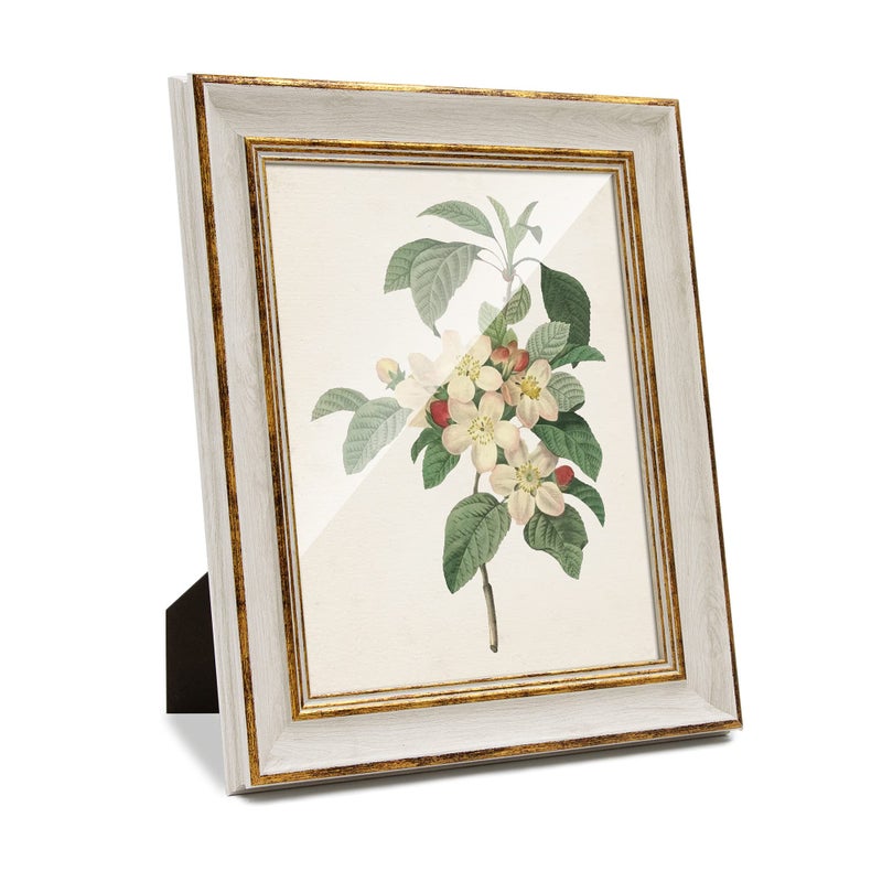 Sapowerntus 8x10 Picture Frame Antique Vintage White Gold Photo Frames Set Wall Hanging Tabletop Display Home Decor Shabby Chic Family Distressed Mother Grandma Elegant Victoria Gift