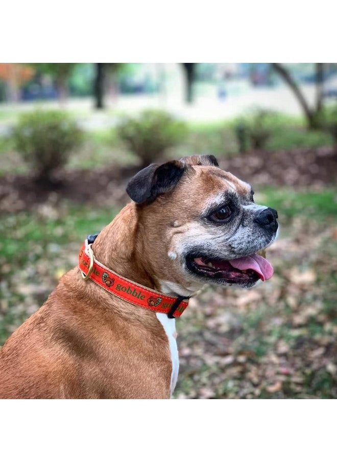 Up Country - Up Country Gobble Gobble Thanksgiving Holiday Dog Collar Medium 1 inch Width (12 inches to 18 inches) - Image 1