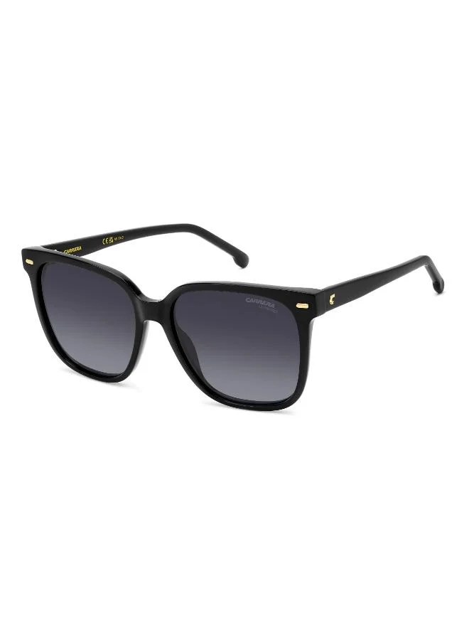 Carrera  Wayfarers Sunglasses for Women | Best Price UAE