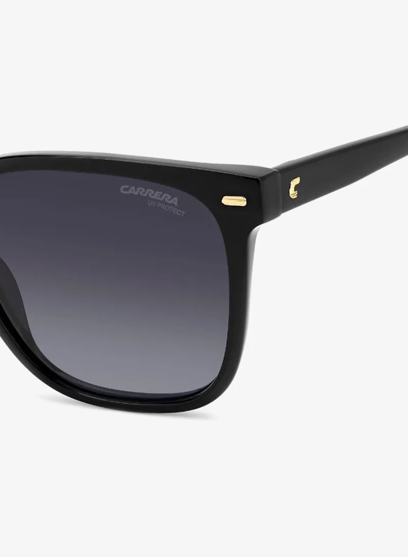 Carrera  Wayfarers Sunglasses for Women | Best Price UAE