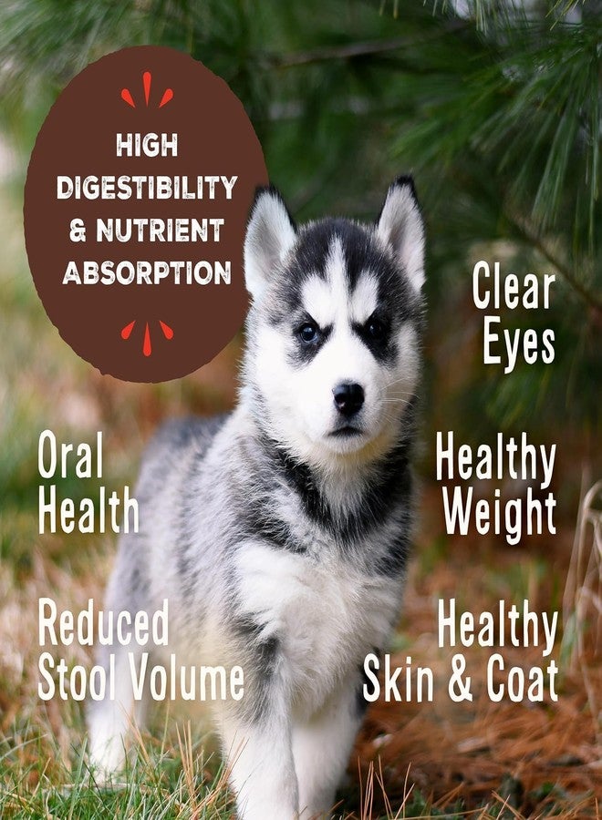 Primal Pet Foods Primal Freeze Dried Puppy Dog Food, Pronto Mini Nuggets; Scoop & Serve, Complete & Balanced Meal; Also Use As Topper or Treat; Premium, Healthy, Grain Free, High Protein Raw Dog Food (16 oz, 2-Pack) - Image 3