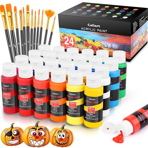 Caliart 24 Colors Acrylic Paint Set with 12 Brushes Art Craft Paints Gifts Trendy Stuff for Adults Artists Halloween Pumpkin Canvas Ceramic Rock Eggs Painting Kit Art Supplies