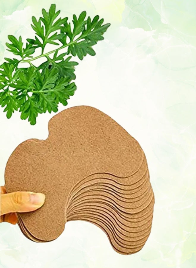 عشبة نيباد 12 قطعة ، نقية المكونات العشبية الطبيعية ، وتخفيف آلام التهاب المفاصل ، تدفئة دائمة ، moxa نيباد - Image 2