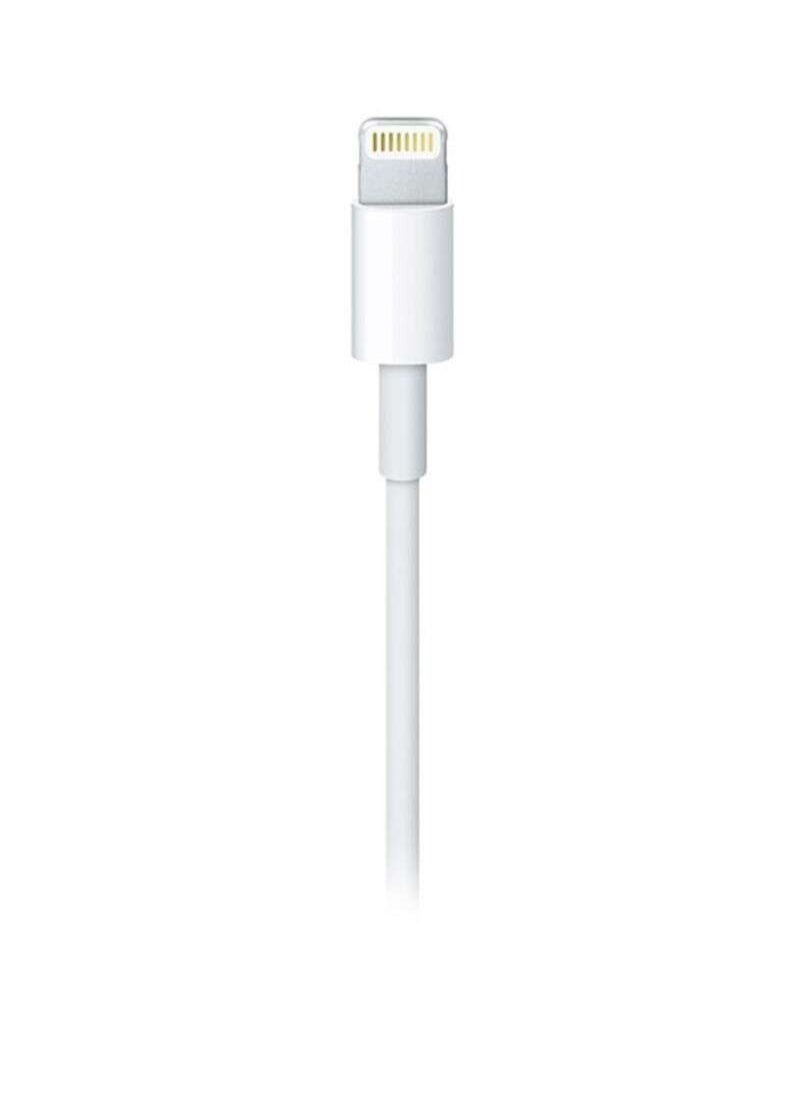 Generic - USB-C Lightning Cable - Image 1