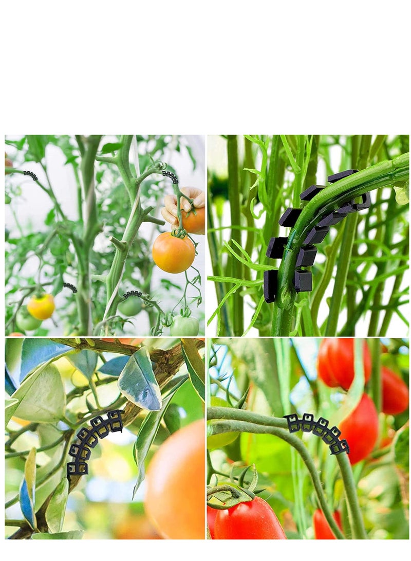 KASTWAVE كلابات نباتية بزاوية 90 درجة لتثبيت الفروع التحكم في نمو الفروع كلابات لتقليل إجهاد النباتات (150 قطعة) - Image 3