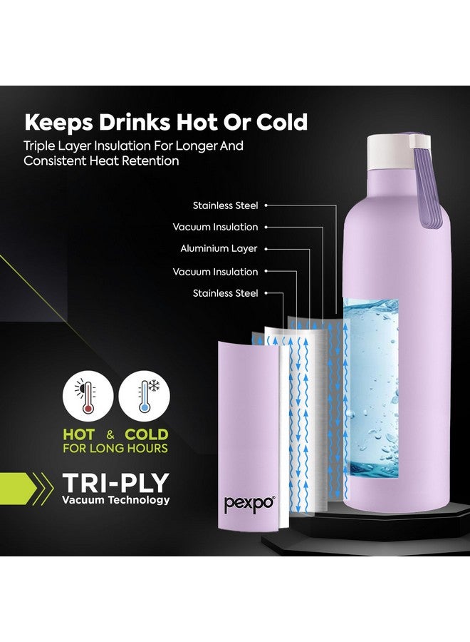 Pexpo Oslo Pro Hot & Cold Stainless Steel Water Bottle |Thermosteel Flask|Vacuum Insulated |ISI Certified |750ml, Orchid Purple | Gift for Girls & Boys|Office | Home | Gym | Adults| RCB Edition - Image 3