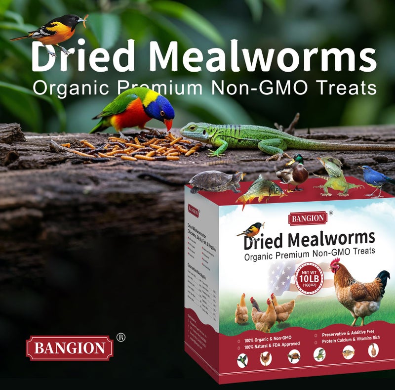 Dried Mealworms 10 Lbs-Organic MealWorms for Chickens & Birds, Non-GMO Meal Worms for Chickens, Wild Birds, Bluebirds, High Protein Chicken Feed Bird Treats, Worms for Chicken, Hens, Bird, Reptiles - Image 4