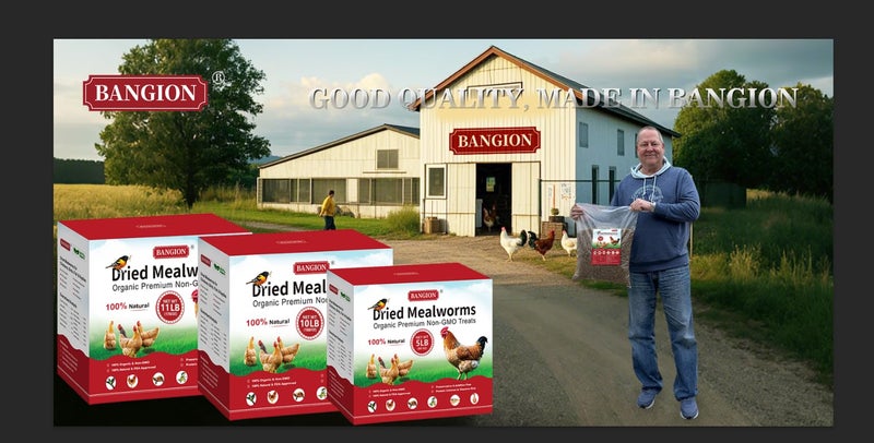 Dried Mealworms 10 Lbs-Organic MealWorms for Chickens & Birds, Non-GMO Meal Worms for Chickens, Wild Birds, Bluebirds, High Protein Chicken Feed Bird Treats, Worms for Chicken, Hens, Bird, Reptiles - Image 2