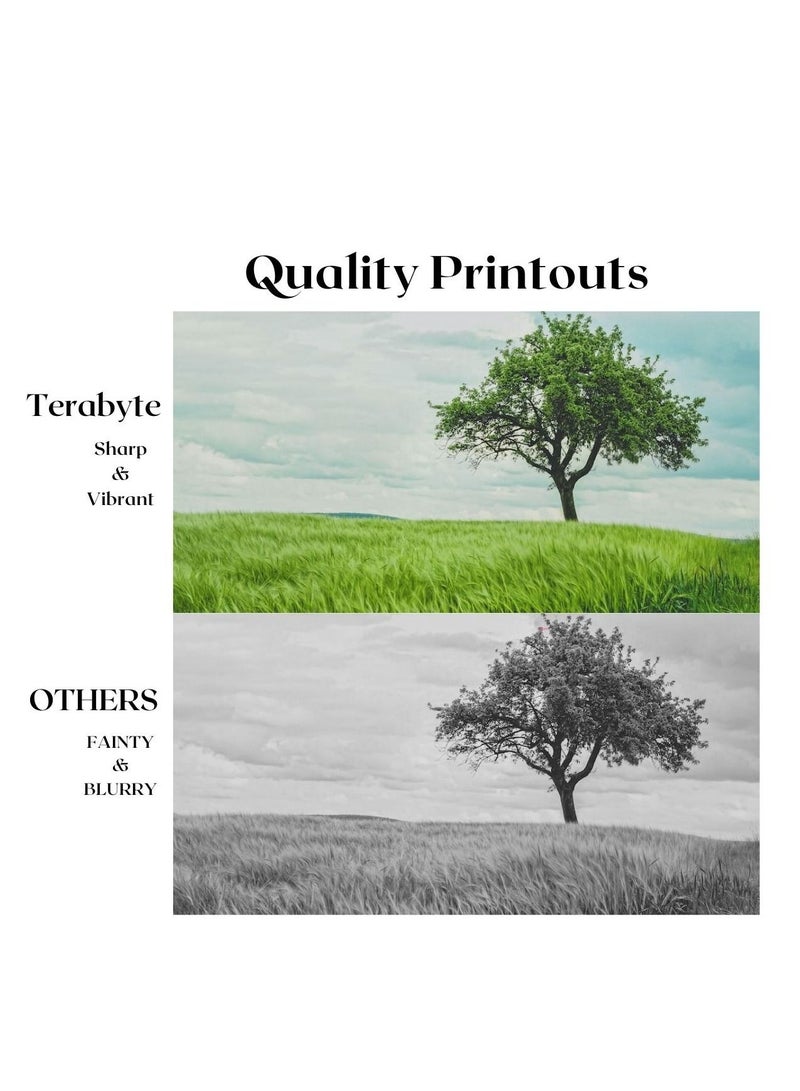 Terabyte CLT808S YELLOW SAMSUNG COMPATIBLE TONER TERABYTE - Image 2