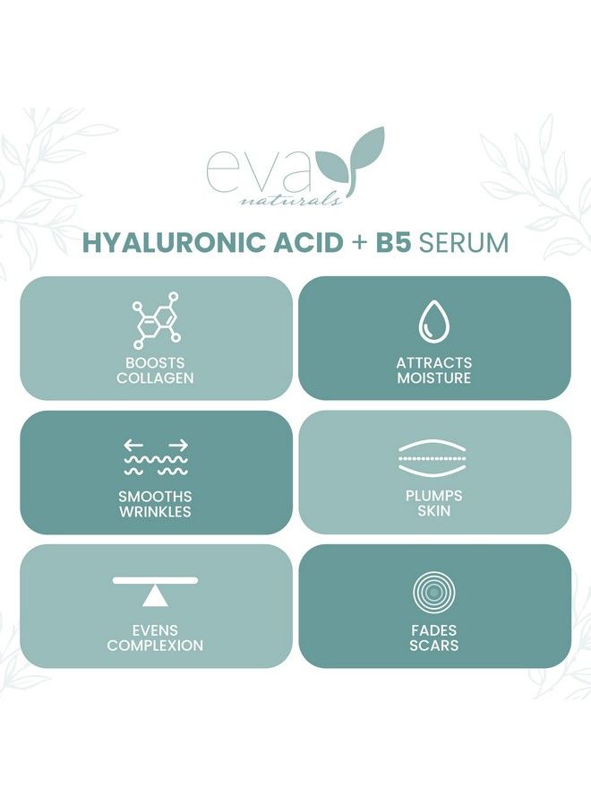 Eva Naturals مصل حمض الهيالورونيك للوجه مع فيتامين ب5، مصل مضاد للشيخوخة ومصل مرطب مضاد للتجاعيد، مصل حمض الهيالورونيك للوجه لترطيب البشرة الجافة 2.0 أونصة سائلة (عبوة واحدة) - Image 4
