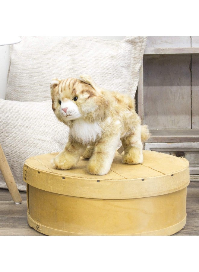 DEMDACO Large Maine Coon Cat Striped Ginger Children's Plush Stuffed Animal Toy - Image 3