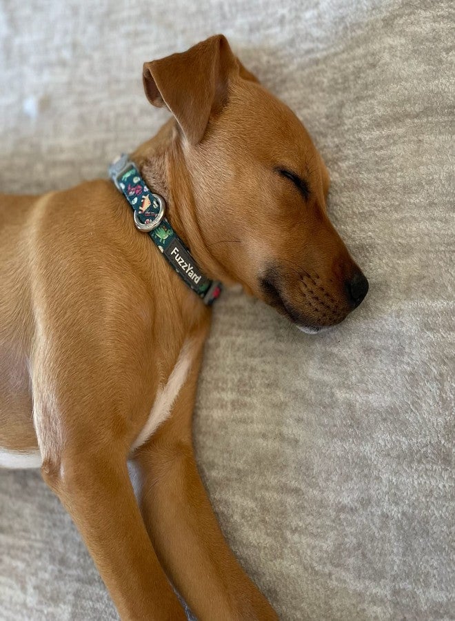 FuzzYard Dinosaur Land Dog Collar | Size M | Comfortable Neoprene Pet Collar for Everyday Walking & Training | Ideal Fit for Medium Dogs - Image 5