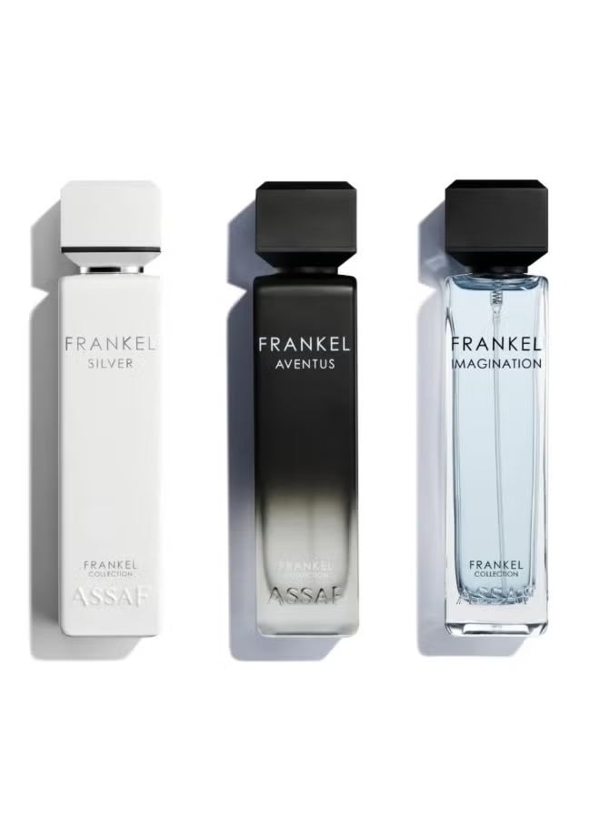 عساف مجموعة فرانكل-آساف