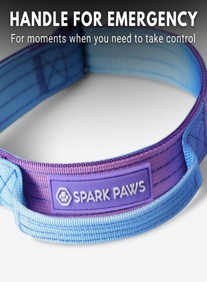 Spark Paws طوق سبارك باوز التكتيكي للكلاب - شديد التحمل، عالي الجودة، سميك ومتين للكلاب الكبيرة والمتوسطة - تصميم كلاسيكي من التسعينيات - مقاس صغير جدًا - 1 بوصة - Image 4