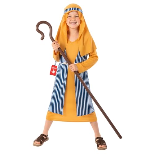fun shack Blue Shepherd Costume for Kids Boys Shepherd Costume Christmas Costumes for Kids Boys Nativity Costumes Medium - Image 1
