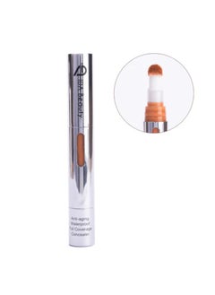 Concealer R#06