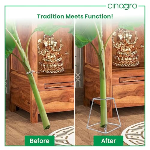 CINAGRO Silver Banana Plant Stand - Pair (Left & Right) for Pooja & Mandir Decor, Rust-Resistant Durable Metal Stand for Banana Stems, Leaf Holder for Temple, Home Festival Decoration Use - Image 5