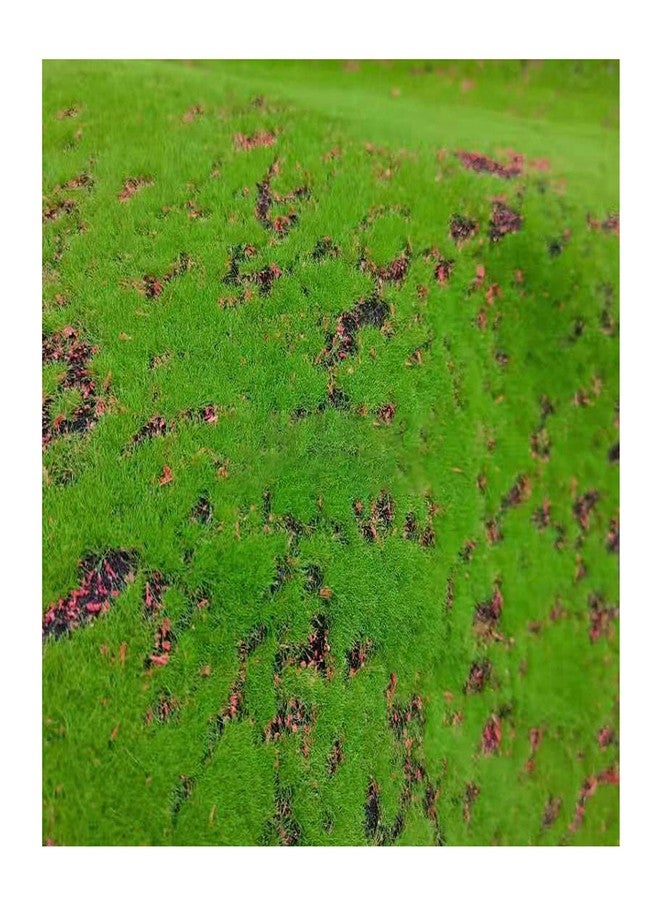 Maxmartt Fake Moss for Crafts 39" x 39" Faux Moss Mat for Plants Indoor Green Artificial Moss Rug for Decorating Planters Crafts DIY Table Centerpieces Fairy Garden Floral Wedding 100 x 100cm - Image 1