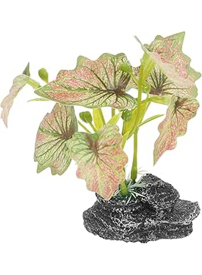 فوساريا زخرفة نباتية زواحف اصطناعية لتررم bearded dragon حوض سمك صغير ديكور حوض السمك أسلوب بوهو لعلبة سلطعون الناسك - Image 1