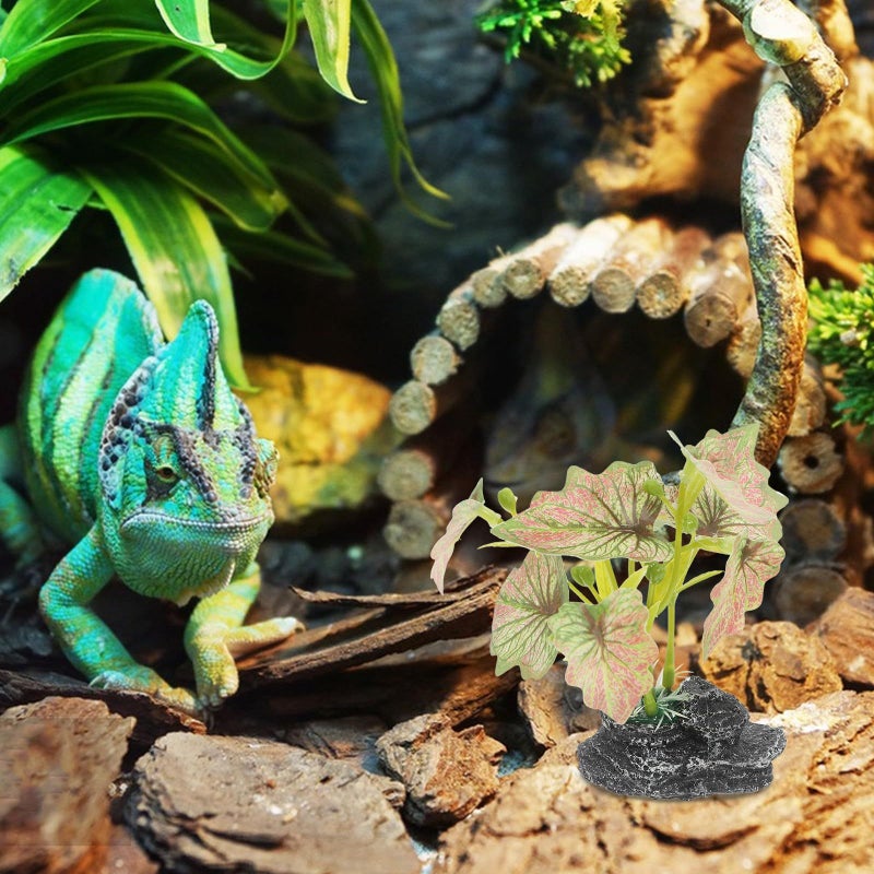 فوساريا زخرفة نباتية زواحف اصطناعية لتررم bearded dragon حوض سمك صغير ديكور حوض السمك أسلوب بوهو لعلبة سلطعون الناسك - Image 5
