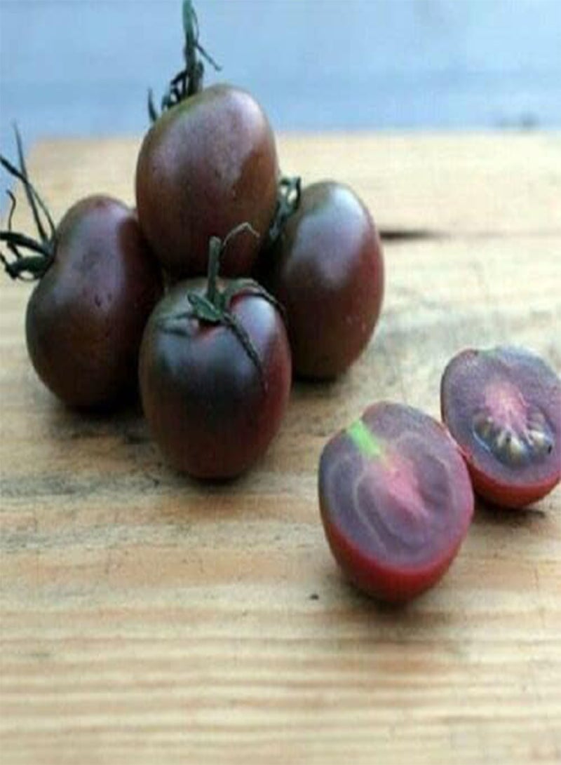 GGOOT 100 Seeds Vegetable Black Cherry Tomatoes Seeds Vibrant, Exotic and Sweet For Planting Outdoors - Image 3