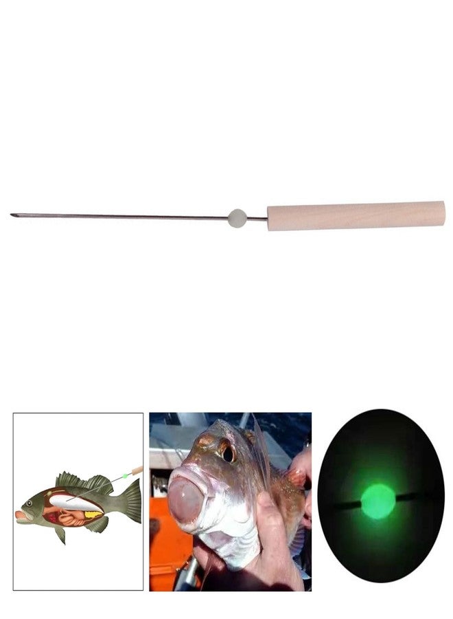BANYUP Stainless Steel Fish Ventilation Tool Efficiently Deflating Needle Release Air Ensure Tender and Delicious Fish Meat Stainless Steel Fish Venting Tool - Image 2