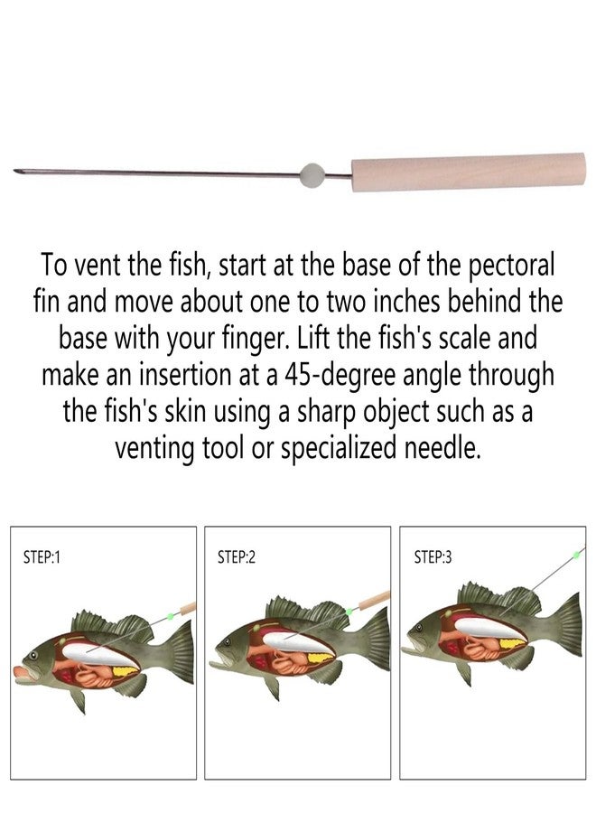 BANYUP Stainless Steel Fish Ventilation Tool Efficiently Deflating Needle Release Air Ensure Tender and Delicious Fish Meat Stainless Steel Fish Venting Tool - Image 5