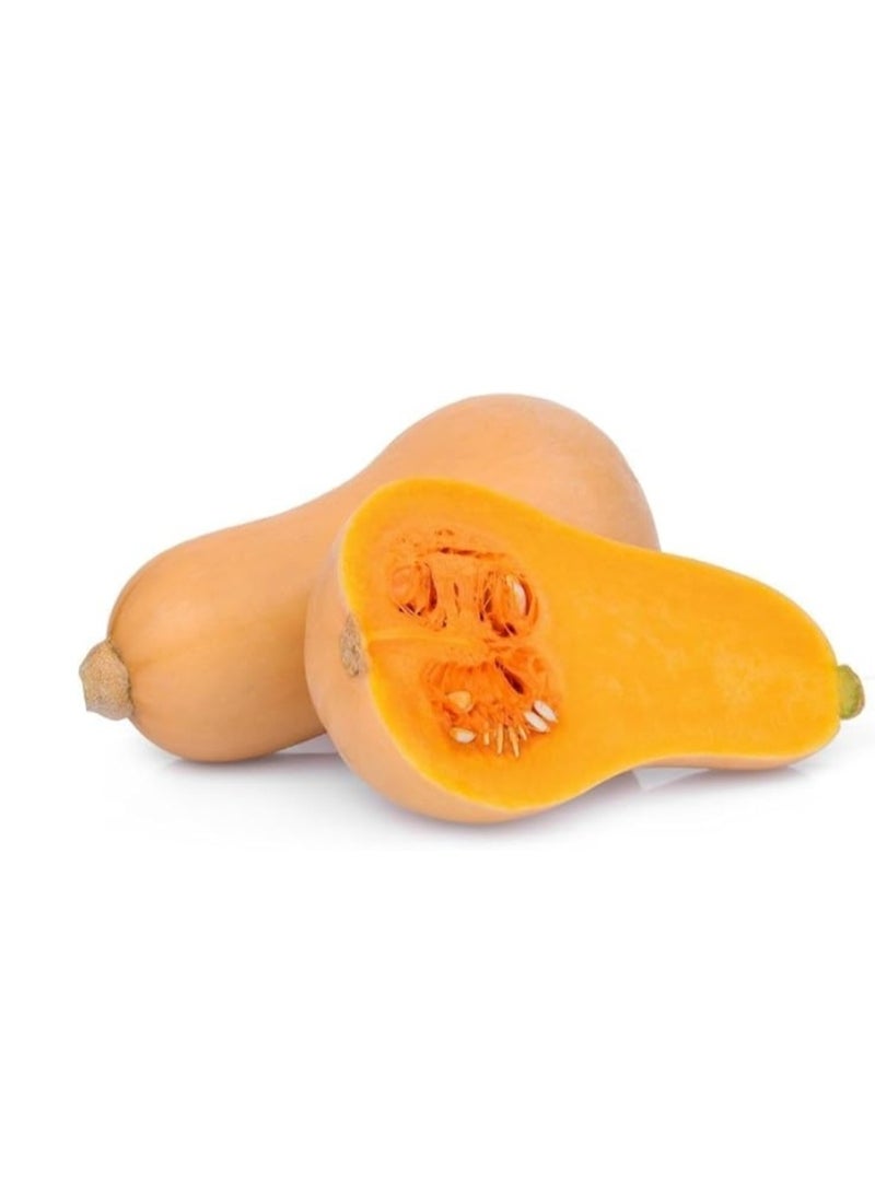 3g Sweet Butternut Squash Seeds Nutritious Vegetable Garden Farm Yard Plant - Butternut Squash Seeds - Flower Seeds Vegetable Seeds Fruit Seeds Garden Plant Seeds - Image 1