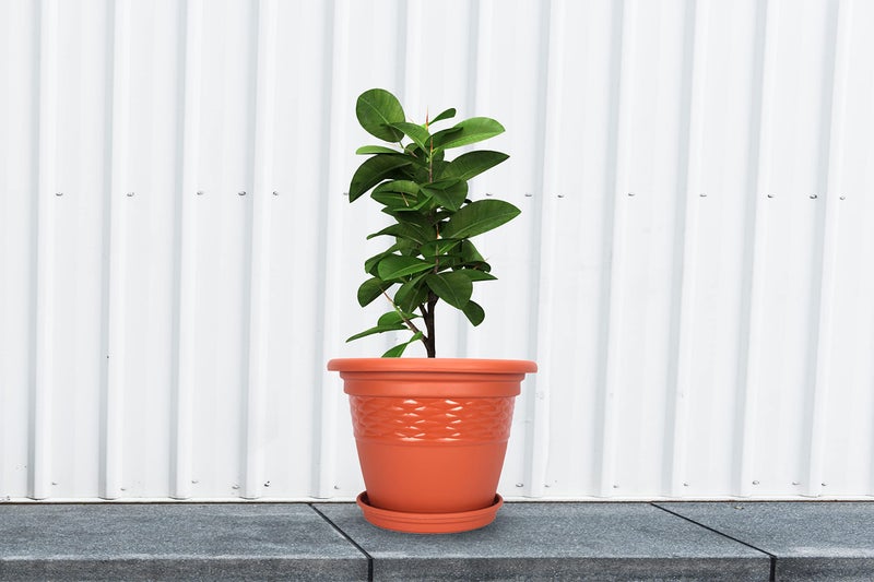 Halsey Clean Home Round Virgin Plastic Modern Design Durable Plastic Plant Pot for Gardening (Pack of 4) (POTS with Tray, MEDIUM-08 INCH) - Image 4