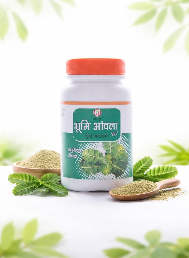 بهارات مسحوق بهومي أملا | مسحوق بهومي أملا | نقي وطبيعي | بهومي أملا | مسحوق أملا عضوي | لصحة الكبد وقوة الجهاز الهضمي | غني بالعناصر الغذائية الأساسية (عبوة من قطعتين، ١٠٠ غرام) | بهارات أيورفيدا أوشدالايا - Image 2