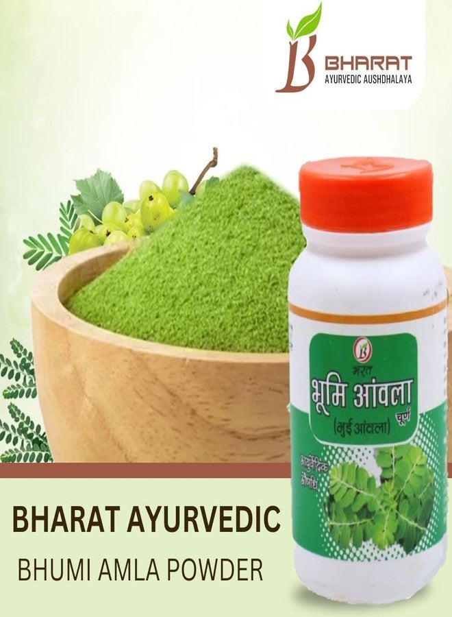 بهارات مسحوق بهومي أملا | مسحوق بهومي أملا | نقي وطبيعي | بهومي أملا | مسحوق أملا عضوي | لصحة الكبد وقوة الجهاز الهضمي | غني بالعناصر الغذائية الأساسية (عبوة من قطعتين، ١٠٠ غرام) | بهارات أيورفيدا أوشدالايا - Image 5