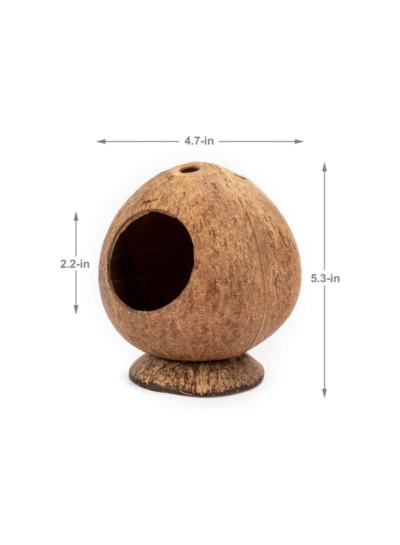 GGOOT Coconut Hut Hamster House Bed for Gerbils Mice Small Animal Cage Habitat Decor - Image 2