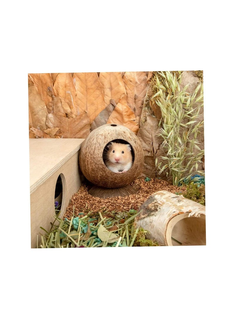 GGOOT Coconut Hut Hamster House Bed for Gerbils Mice Small Animal Cage Habitat Decor - Image 3