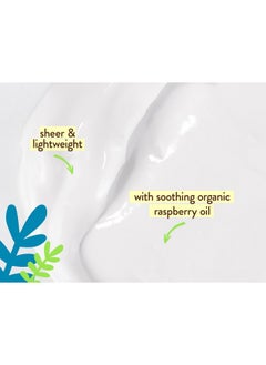 Babo Botanicals Babo Botanicals Daily Sheer Mineral for Face Sunscreen Lotion SPF40 - Natural Zinc Oxide & Titanium Dioxide - 70% Organic Ingredients - Raspberry Oil & Aloe Vera - Fragrance Free - For all ages  - Image 3