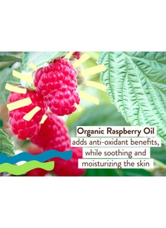 Babo Botanicals Babo Botanicals Daily Sheer Mineral for Face Sunscreen Lotion SPF40 - Natural Zinc Oxide & Titanium Dioxide - 70% Organic Ingredients - Raspberry Oil & Aloe Vera - Fragrance Free - For all ages  - Image 5