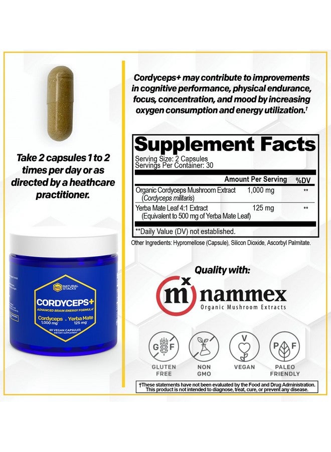 Natural Stacks Cordyceps Mushroom Capsules - 1000mg Cordyceps Extract & 125mg Yerba Mate Extract - 100% Fruiting Body Mushroom Supplement - Supports Brain Energy & Cognitive Performance - 60 Yerba Mate Capsules - Image 2