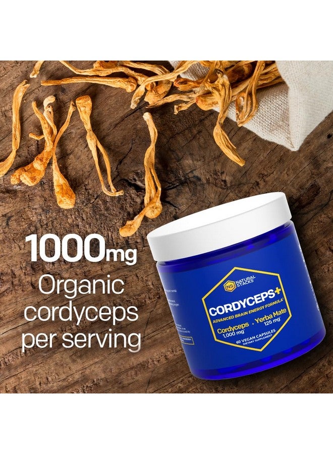 Natural Stacks Cordyceps Mushroom Capsules - 1000mg Cordyceps Extract & 125mg Yerba Mate Extract - 100% Fruiting Body Mushroom Supplement - Supports Brain Energy & Cognitive Performance - 60 Yerba Mate Capsules - Image 3