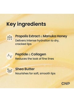 Propolis Lipcerin, Honey Lip Butter, Manuka Propolis Lipcerin, Hydrating Overnight Manuka Lip Balm & Mask, 12 Hours Long-Lasting Moisture, Gentle Exfoliation, Moisturize Lip Care, 15ml - pzsku/ZC68DFAFEDDCFCA7C0226Z/45/_/1735549113/8b7935d3-5f85-4768-a8cd-0995e39b713e