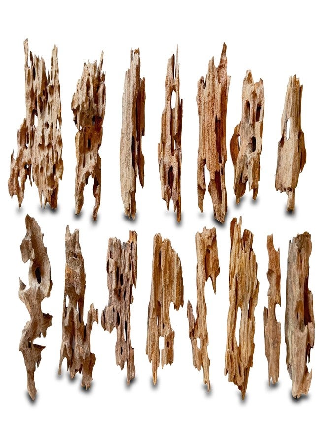 HEMYIS Natural Driftwood Branches for Aquariums&Reptiles-1.5lb,4-12in Length|Ideal for Aquascaping,Reptile Habitat Decor,and DIY Craft Projects (XM-Branches Medium 9 to 12 inch-1.5lb) - Image 2